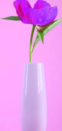This stunning live wallpaper for your phone features a beautiful purple flower in a white vase, set against a soft pink background