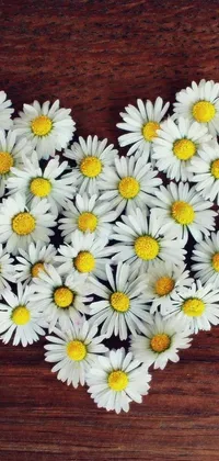 This lively phone live wallpaper features a heart-shaped bouquet of daisies on a wooden table