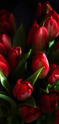This phone live wallpaper depicts a vase brimming with luscious red tulips
