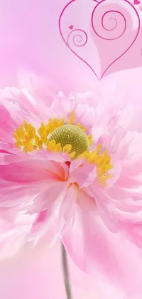 Transform your phone screen into a stunning work of art with this Pink Peony Live Wallpaper