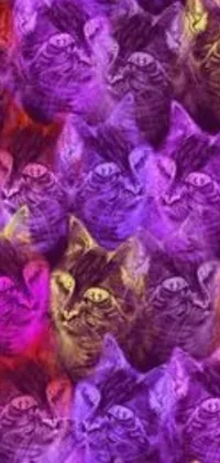 This phone wallpaper features a group of cats sitting together in a vividly colored psychedelic art style