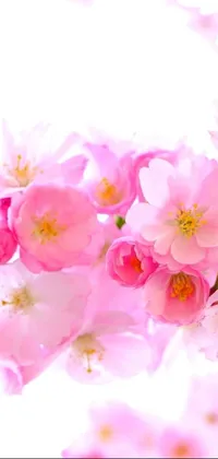 This mobile live wallpaper showcases a gorgeous close-up shot of pink flowers blooming in full display
