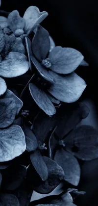 This stunning live wallpaper showcases a beautiful black and white photograph of a bunch of flowers, adding an elegant touch to your phone's home screen