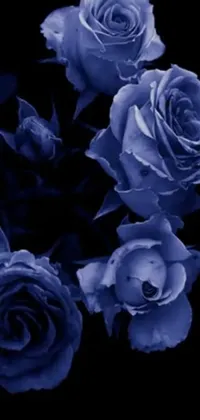 This phone live wallpaper displays beautiful digital art featuring blue roses on a black background