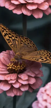 Download this beautiful live phone wallpaper featuring a butterfly resting on a pink flower