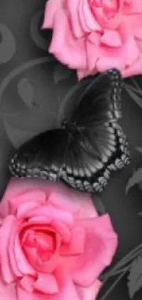 This live wallpaper showcases two pink roses and a black butterfly against a black background