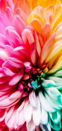 Brighten up your phone screen with this colorful and mesmerizing live wallpaper featuring a pastel close-up of a dahlia flower on a black background