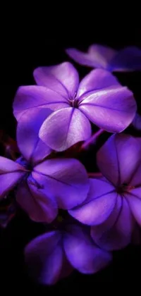 This live phone wallpaper boasts a stunning digital art close-up of purple flowers, offering a mesmerizing, glowing experience