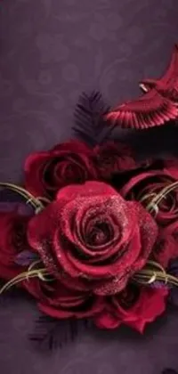 Adorn your phone screen with the stunning red rose and two birds live wallpaper