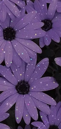 This live phone wallpaper features a close up of purple flowers against a black background