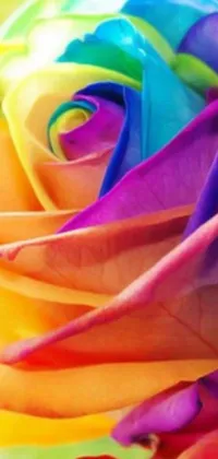 This lively phone live wallpaper features a digital rendering of a beautiful rainbow colored rose in close-up view