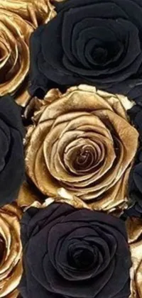 This live wallpaper depicts a bunch of stunning black and gold roses in full bloom
