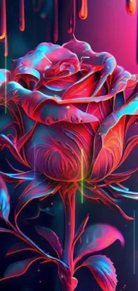 Get mesmerized by the stunning pink rose live wallpaper