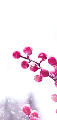 This live wallpaper showcases a bunch of pink flowers set against a snowy background in a serene winter park setting