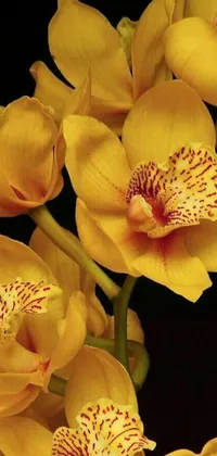 This live phone wallpaper features a vibrant hyperrealism image of a bunch of yellow flowers