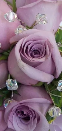 This phone live wallpaper depicts a beautiful close-up bouquet of purple roses