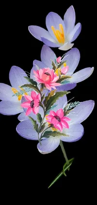 Flower Plant Petal Live Wallpaper