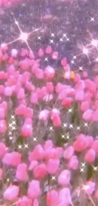 This phone live wallpaper features a stunning vista of a pink flower field