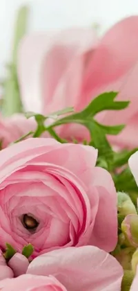 This phone live wallpaper features a stunning floral close-up captured in soft pink hues