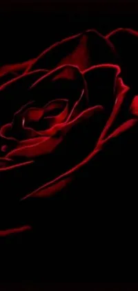 This phone live wallpaper showcases a bold red rose against a sleek black background, created with stunning digital art design