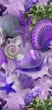 This mesmerizing live phone wallpaper features a beautifully decorated table adorned with purple and white shells, creating a stunning display