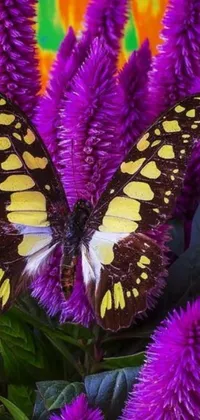 This phone live wallpaper showcases a stunning butterfly perched on top of vibrant purple flowers