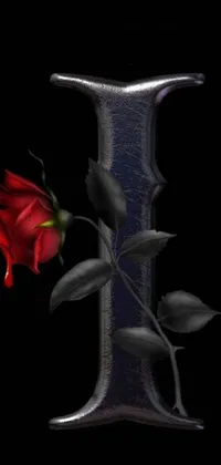 This phone live wallpaper boasts gothic art featuring a captivating red rose atop a shiny metal object