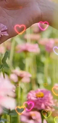 Looking for a vibrant and eye-catching phone live wallpaper? Check out this colorful scene of a person holding a flower in a field of flowers with pink hearts floating in the background