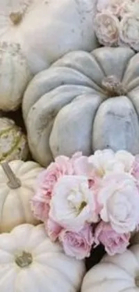 Display your love for Halloween with this charming live wallpaper featuring a group of white pumpkins on a wooden table