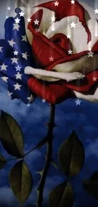 Looking for a patriotic and eye-catching live wallpaper for your phone? Look no further than this red, white, and blue rose with an American flag overlay