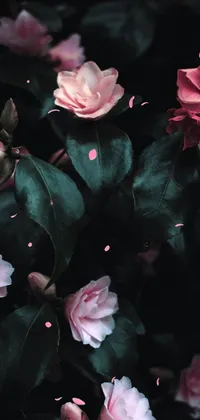 This phone live wallpaper is a masterpiece of art, featuring a vibrant bush full of pink and white flowers in a dark and moody style
