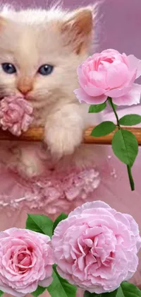 This phone live wallpaper features a white kitten sitting on a table amidst pink flowers, a ballerina, a pastel avatar image, and a message in a glass bottle