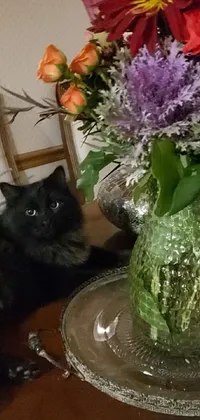 This is a stunning phone live wallpaper that features a beautiful black cat resting on a table next to a vase of flowers