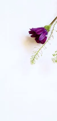This lovely phone live wallpaper features a vibrant purple flower resting peacefully on a white surface, surrounded by delicate stems and leaves rustling in the wind