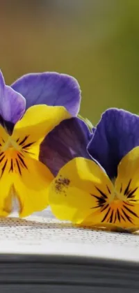 This phone live wallpaper showcases a vibrant digital art piece depicting colorful pansies in shades of purple and yellow resting on an open book