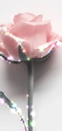 This live wallpaper displays a close-up of a flower adorned with twinkling lights against a soft background