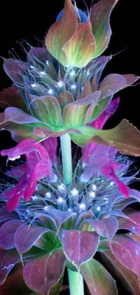 This phone live wallpaper features a high-definition digital art image of a bioluminescent lobelia flower on a black background