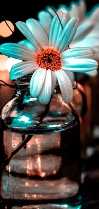 This phone live wallpaper boasts a mesmerizing photograph of a vase holding a gorgeous flower, complete with a glowing jar effect that adds a magical twist
