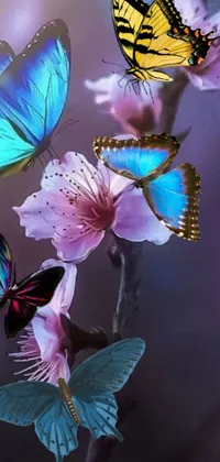 This stunning mobile wallpaper showcases a group of butterflies sitting on a colorful flower
