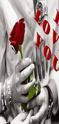 This phone live wallpaper features a gorgeous red rose held lovingly in a person's hand