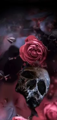 This phone live wallpaper features beautiful pink roses alongside a gothic skull, creating a stunning and visually striking effect