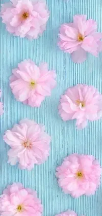 This phone live wallpaper features a mesmerizing image of pink flowers blooming on a soft blue surface