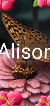 This live wallpaper features a delicate butterfly perched atop a vibrant pink flower