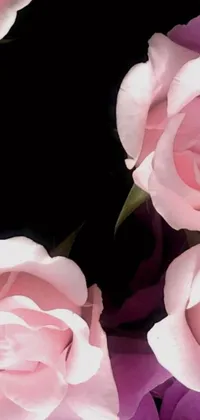 Looking for a stunning live wallpaper for your phone? Check out this beautiful pink rose design! The digital art features a close up of a bunch of pink roses against a black background, with amazing detail that really makes the flowers pop