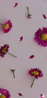 This live phone wallpaper showcases a digital rendering of purple flowers against a white background, with glowing pink fireflies and delicate chamomile in the foreground