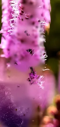 This phone live wallpaper is a digital rendering of a purple flower with a butterfly resting on it