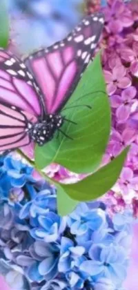 This stunning live wallpaper for phone showcases a gorgeous flower and butterfly up close