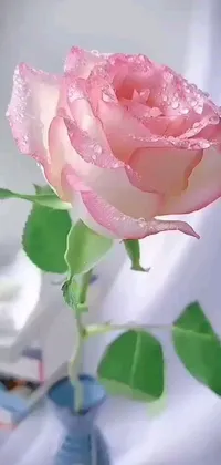 This live wallpaper showcases a gorgeous pink rose in a blue vase