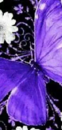 This stunning phone live wallpaper features a realistic close-up of a beautiful purple butterfly