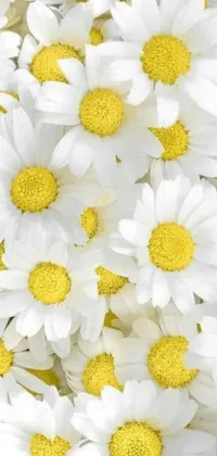 This live phone wallpaper features white flowers with yellow centers, set in a minimalistic design with playful emojis including a ribbon, sword, strawberry, and fairy